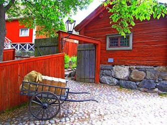 Stockholm private tour with Vasa and Skansen Museum